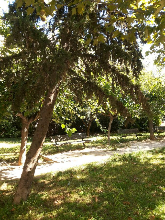 Αnna'S Home!!!Holidays In Beautiful Афины Экстерьер фото